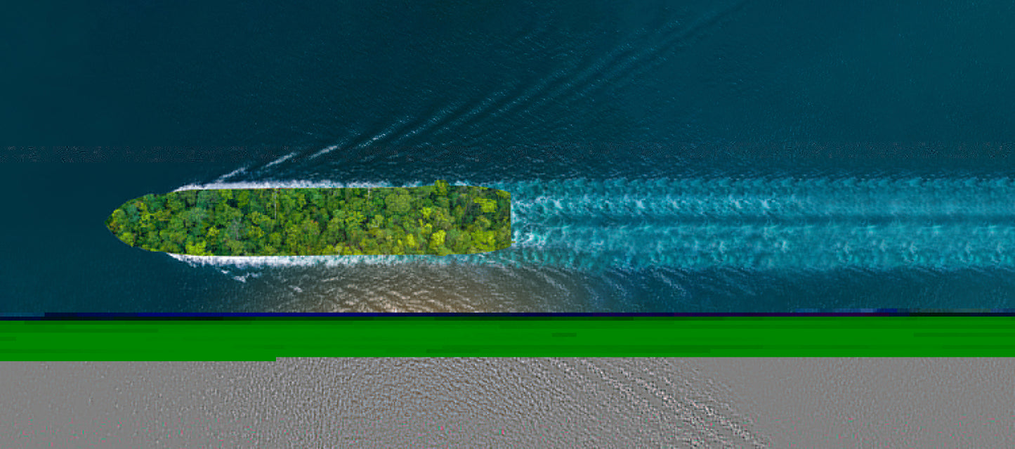 ONE: Sustainable Shipping Beyond Alternative Fuel