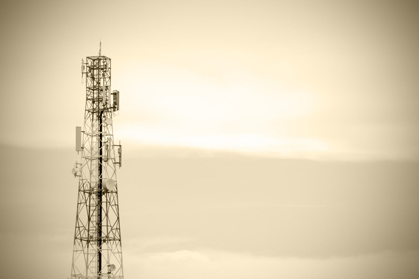 Globe Telecom: Redefining Telecommunication in the Philippines