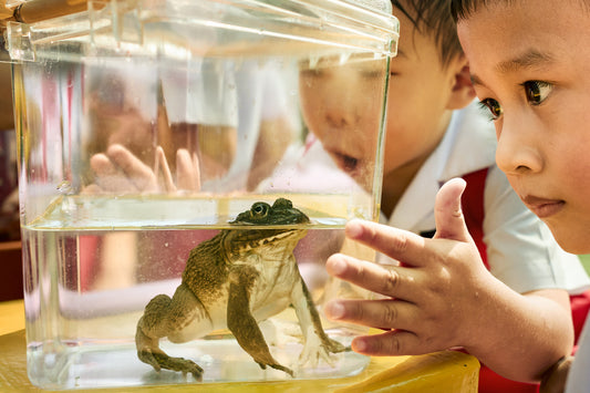 Science Centre Singapore: Digital Aways Beats Paper – Universal Truth or Biased Opinion?