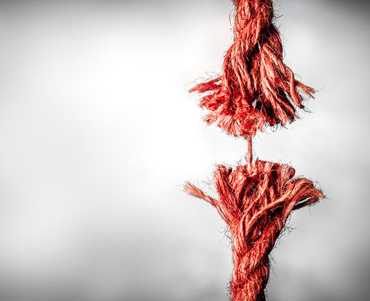 When Work Kills: The Case of Arjun Mehra