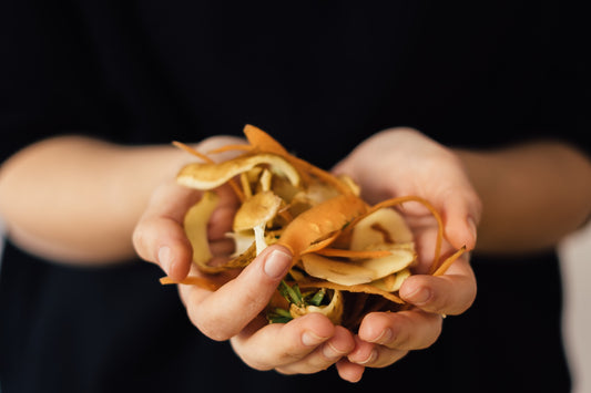 Ento Industries: Developing Sustainable Solutions for Food Waste Management Using Black Soldier Flies