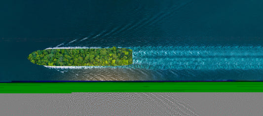 ONE: Sustainable Shipping Beyond Alternative Fuel