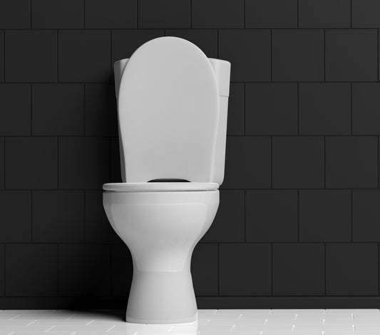 Battling Dirty Toilets: Singapore’s Final Frontiers
