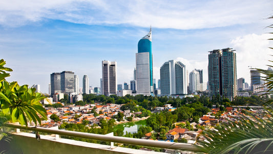 Bank Negara Indonesia: Enabling Transformative Change through Human Capital