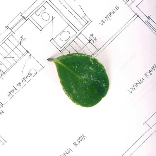 City Developments Limited: A Journey in Sustainable Business Development
