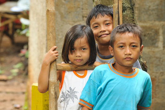 Future For Children: A Social Enterprise Project In Transition