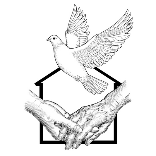 Hospice Care Association: Turnaround of a Healthcare Non-profit Organization